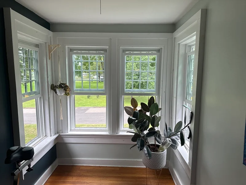 Harvey Tribute premium vinyl window replacement